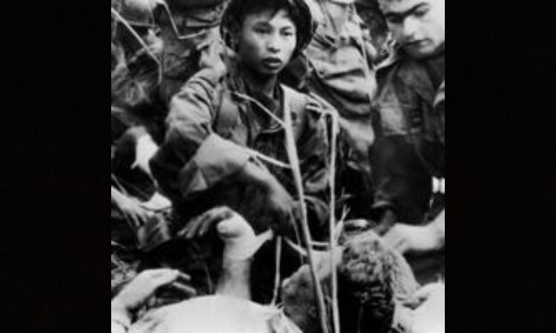 Vietnam, France, History, Diplomacy,