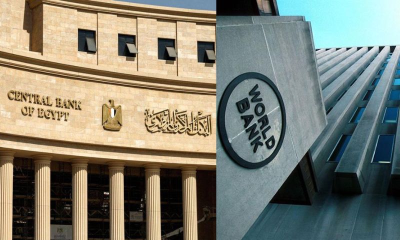 World Bank, Egypt, Washington, Government, Cairo, Red Sea, Houthi, Suez Canal, Foreign Currency, International Monetary Fund, IMF, Financial