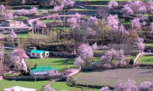 Gilgit