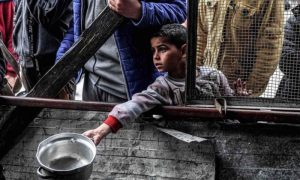 Gaza, WFP, Aid, Food, Famine, UN, Palestine, Israeli,