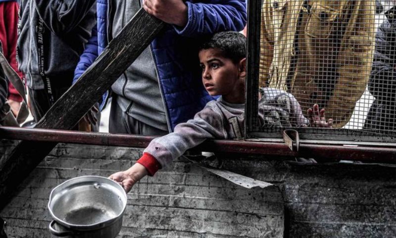 Gaza, WFP, Aid, Food, Famine, UN, Palestine, Israeli,