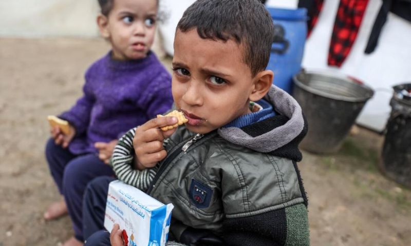Gaza, WFP, Aid, Food, Famine, UN, Palestine, Israeli, 