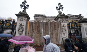 Man Arrested for Crashing Car into Buckingham Palace Gates