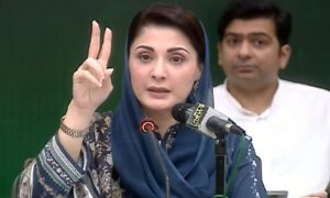 Punjab, Government, Chief Minister, Maryam Nawaz, PML-N, Nawaz Sharif, Metro Bus Projects, Lahore, petrol