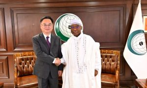 OIC, Hissein Brahim Taha, Chen Weiqing, China, Saudi Arabia, Special Representative,