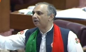 Omar Ayub, National Assembly, PTI, Pakistan Tehrik-e-Insaf, Sunni Ittehad Council, Shehbaz Sharif, Government, Imran Khan, Bushra Bibi