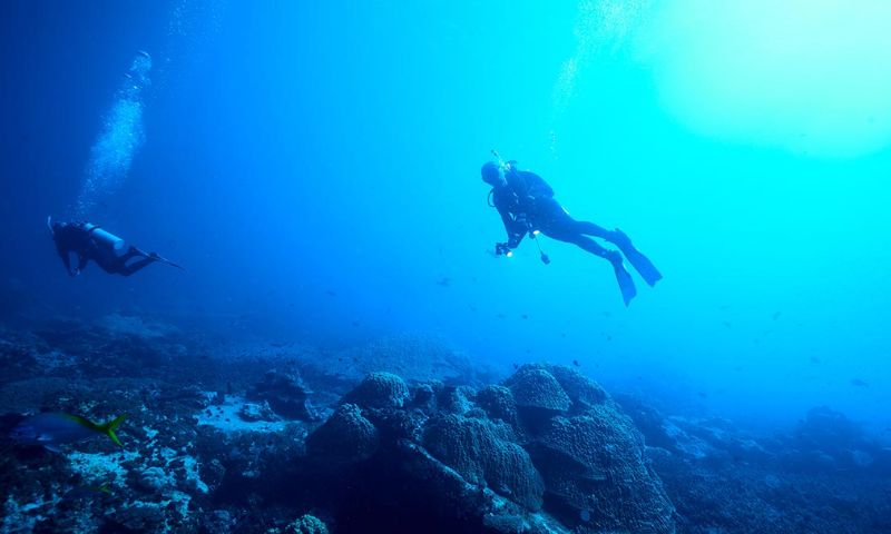Scuba
