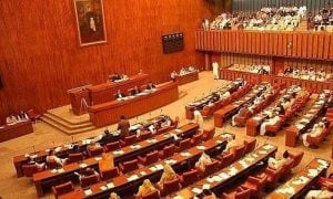 Senate, Candidate, Vote, Balochistan,