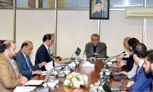 Privatization, Institutions, Aleem Khan, Khyber Pakhtunkhwa, Prime Minister, Shahbaz Sharif, Abdul Aleem Khan,