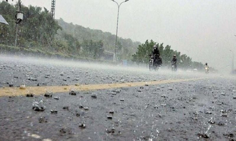 Rain