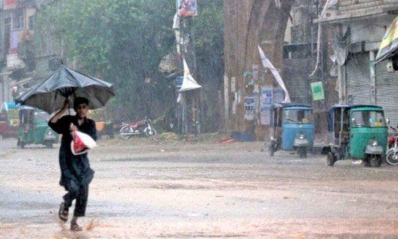 Rain