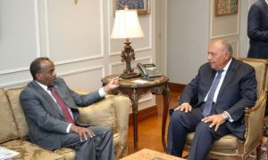 Egyptian, Somali, Foreign Minister, Gaza, Palestinians, Horn of Africa, Red Sea,