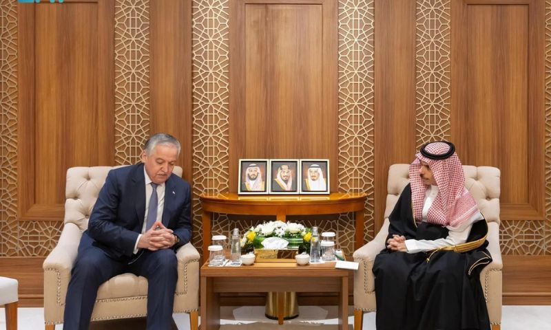 Saudi, Foreign Minister, OIC, Palestinian, Saudi Arabia,