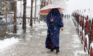 Snowfall