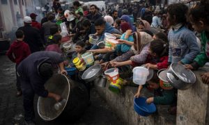 Gaza, Famine, Palestinians, Rafah, Israel, United Nations, UN, Food and Agriculture Organization, FAO, Food, Aid,