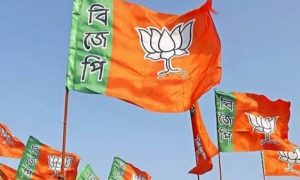BJP, India, Justice, System, Courts
