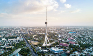 Uzbekistan Real Estate Market Sees Surge in Housing Sales and Rental Prices