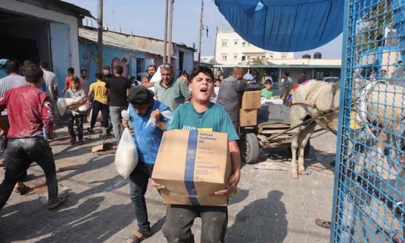 UN World Food Program, WFP, aid, Gaza, Gaza City, Gaza's northern areas, humanitarian crisis,