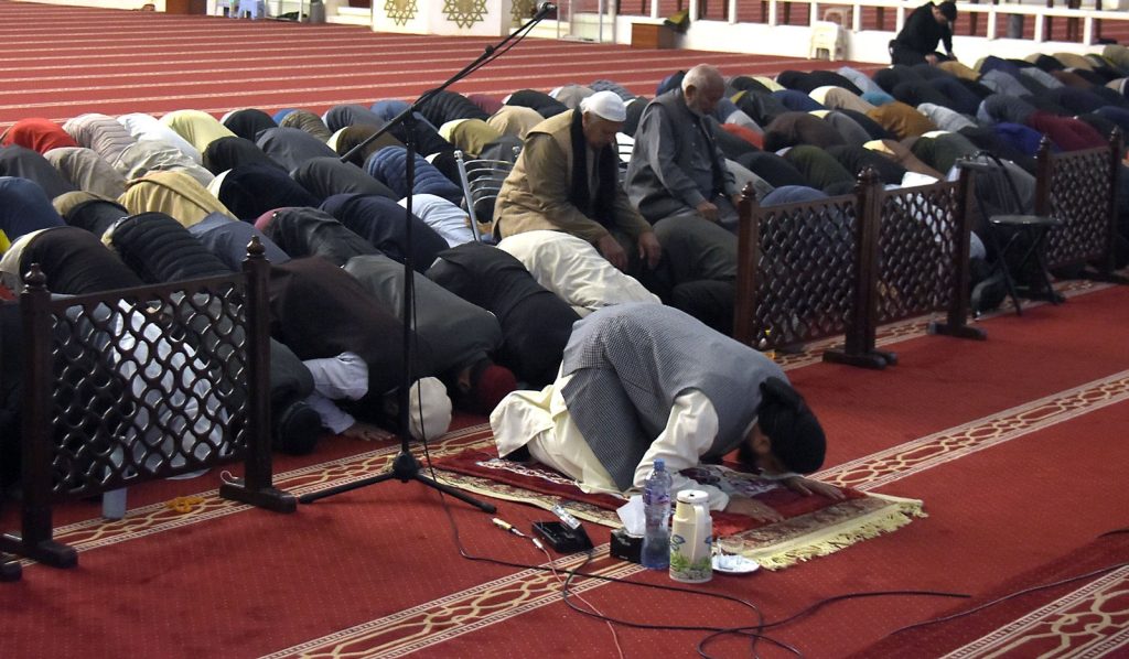 WhatsApp Image 2024 03 11 at 11.00.23 PM 1