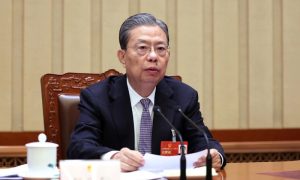 China's top legislator, Zhao Leji, global economic recovery, China's market, foreign investors, high-quality