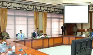 Apex Committee, Special Investment Facilitation Council, SIFC, investments, privatization, Shehbaz Sharif,
