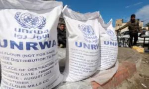 Gaza, Canda, Sweden, UNRWA, Palestine,