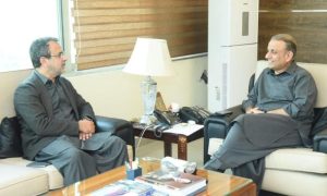Aleem Khan, Awais Leghari, Privatization, Power, Pakistan, energy, DISCOs. Cooperation,