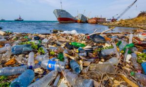 Bali, Beaches, Tidal, Plastic