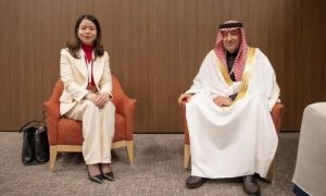 Vice Foreign Minister, Vietnam, Deputy Foreign Minister,