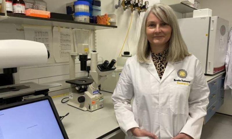 Fruit Flies, Brain Tumor, Scientists, Researchers, Brain Tumour Research Centre of Excellence, University of Plymouth, Glioblastoma