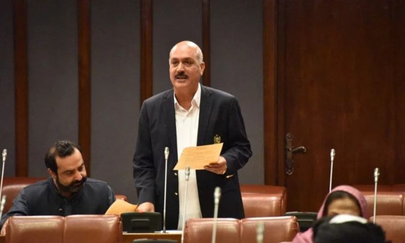 Senator, leadership, Pakistan, Facebook, TikTok, Instagram, Twitter, YouTube, Social Media, Resolution