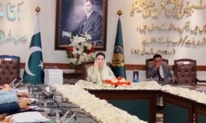 Punjab, Cabinet, 23-24 Budget, Chief Minister, Maryam Nawaz, Ramazan package
