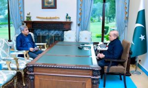 Prime Minister, Shehbaz Sharif, Pakistan Cricket Board, Syed Mohsin Raza Naqvi, PCB, FIA, Federal Investigation Agency, National Counter Terrorism Authority, Interior Minister