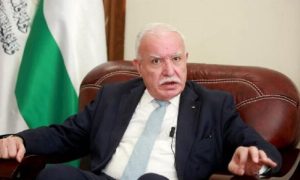 Gaza, China, Palestinian Foreign Minister, Riyad al-Maliki, China, International Court of Justice, Palestine,