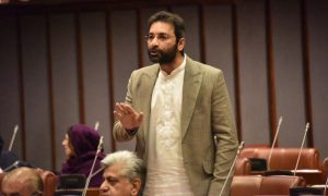 Pakistani Senator, Faisal Saleem Rahman, International Monetary Fund, IMF, World Bank,