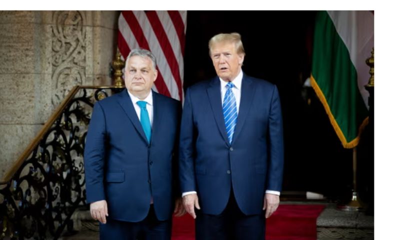 Trump, Ukraine, Russia, Conflict, US, Hungary