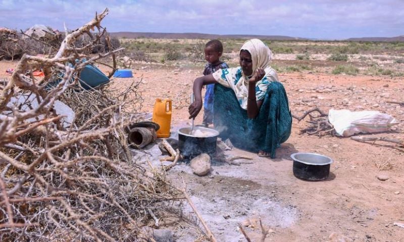Residents of Buhera, Zimbabwe, grain, peas, and cooking oil, World Food Programme, FWP,