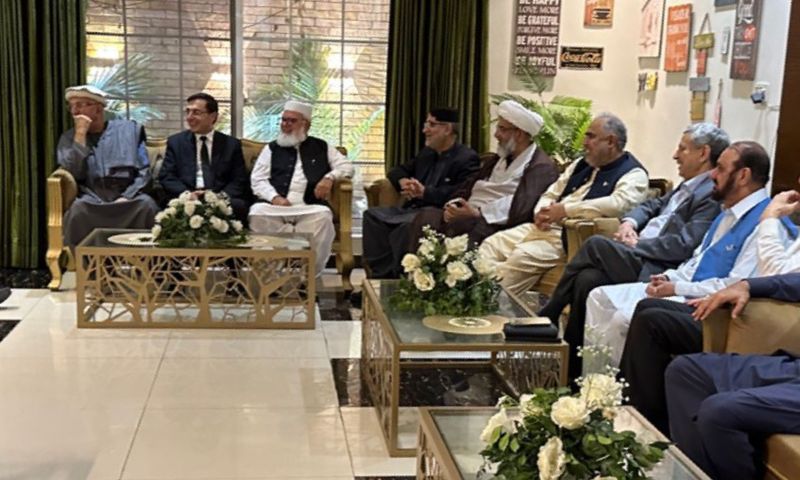 PTI, Alliance, Govt, JUI-F, PkMAP, Pakistan,