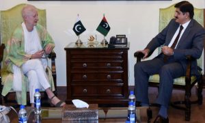Chief Minister, Sindh, Murad Ali Shah, ambassador, Bilawal Bhutto Zardari, European Union, schools, education,