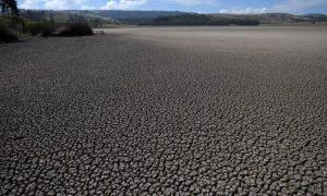 COLOMBIA, CLIMATE, JUSTICE,