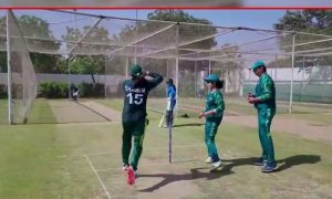 Cricket