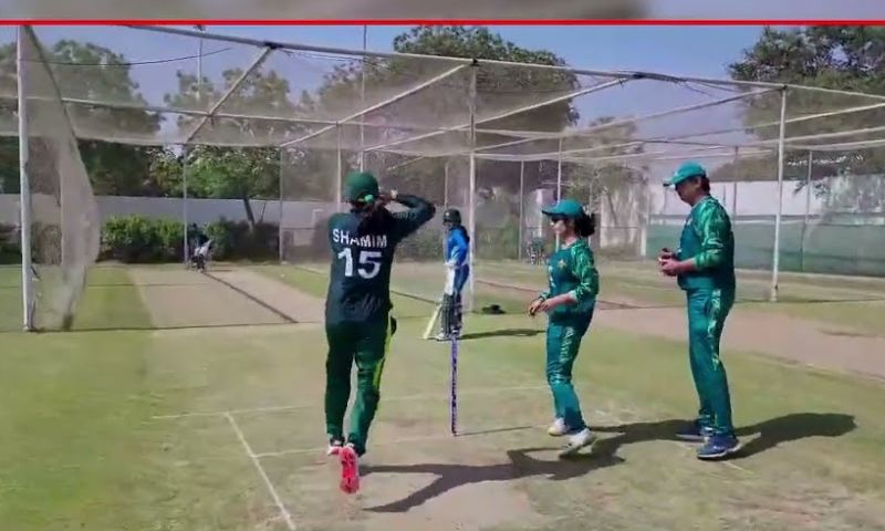 Cricket