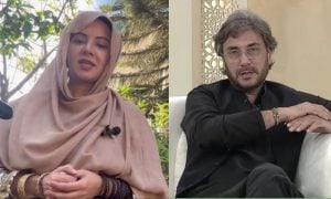 Rabi Pirzada, Adnan Siddiqui, Actor, Singer, Actress, TV Show, Pakistani Actress, Entertainment Industry, Atif Aslam, Ali Zafar,
