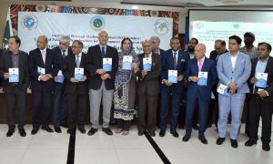 Pakistan-Africa Institute, PAIDAR, Institute of Strategic Studies Islamabad, ISSI, Islamabad, African nations, Senator Mushahid Hussain, Pakistan's interests,