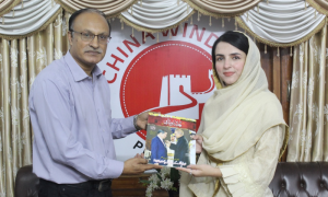 KP CM Advisor Lauds China Window's Role in Strengthening Pak-China Ties (2)