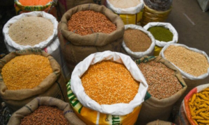 New High-Yield Pulse Varieties Recommended to Ensuring Food Security in Pakistan