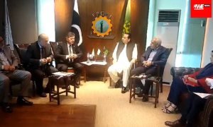 Pakistan, Uzbekistan Should Extend Bilateral Trade Ambassador