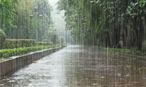 Rain