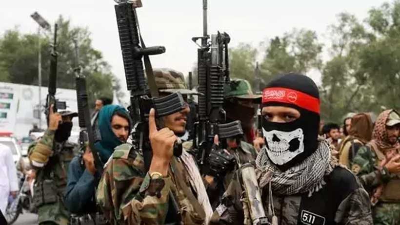 Terrorism  