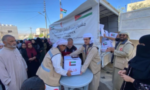 Third UAE Aid Ship Arrives at El-Arish Port for Gaza